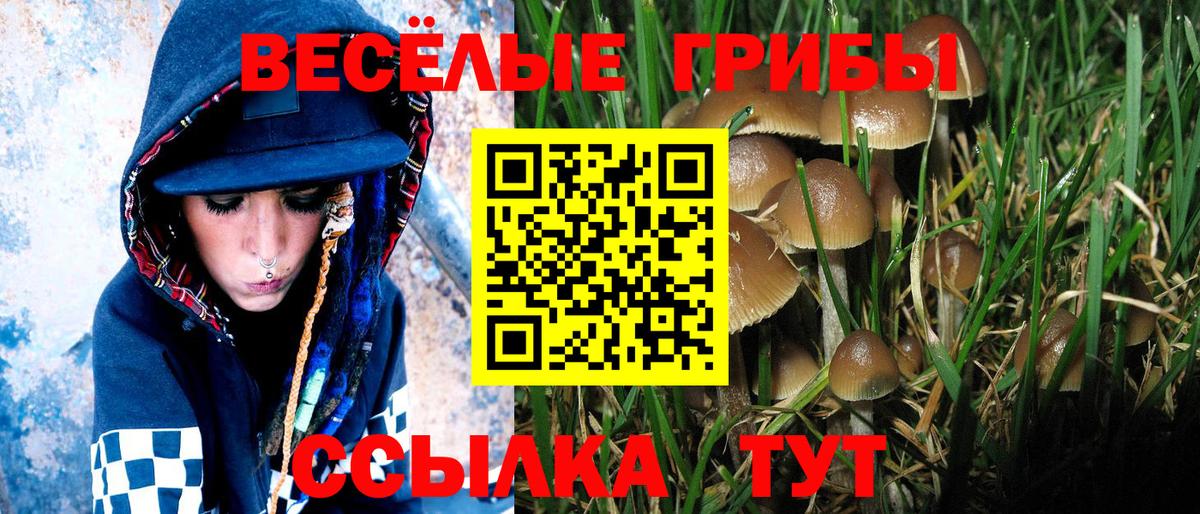 Галлюциногенные грибы Magic Shrooms Людиново
